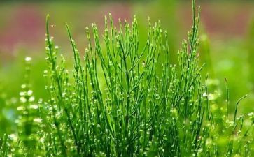 草原上小木屋的读后感优秀5篇