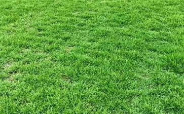 布草洗涤合同6篇