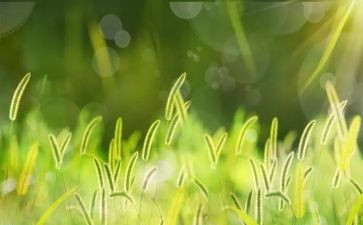 烟草个人年度工作总结8篇