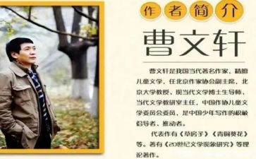 草房子曹文轩著读后感5篇