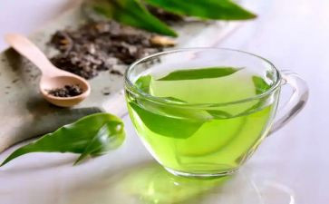 茶经读后感1000字推荐5篇