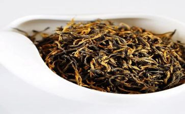 茶话会讲话稿7篇
