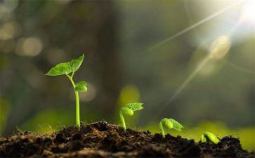 我成长我需要作文优质6篇