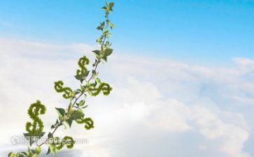 年工作计划个人成长计划7篇