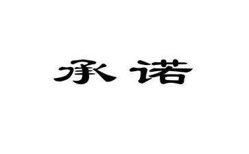 项目承诺书范文7篇