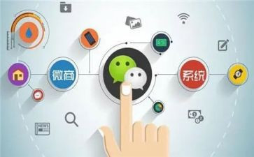 程序员够工作计划8篇