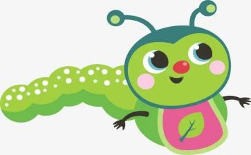 七星瓢虫教案5篇