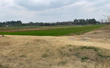 川农自我鉴定600字模板5篇