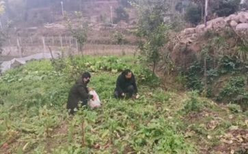 川农自我鉴定优质5篇