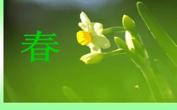 我的春节作文模板8篇