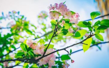 青春期教案5篇
