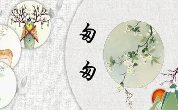关于匆匆的读后感优秀7篇