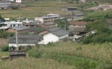 农村工作总结个人工作总结精选8篇