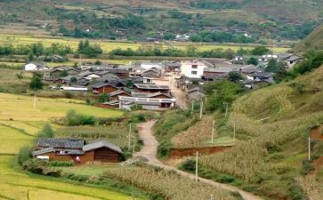 村党支部的工作总结优质8篇