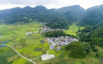 2024农村人居环境整治工作总结5篇