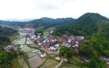 村党支部的工作总结最新7篇