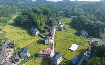 村党支部工作半年工作总结7篇