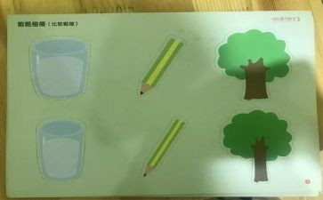 比较粗细中班教案6篇