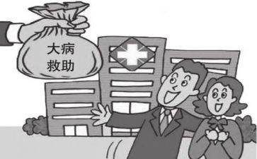 大病农村补助申请书8篇