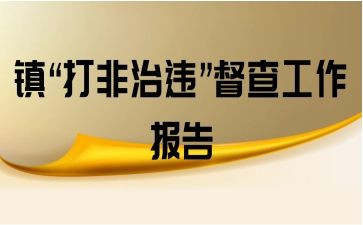 2024扫黄打非工作总结范文8篇