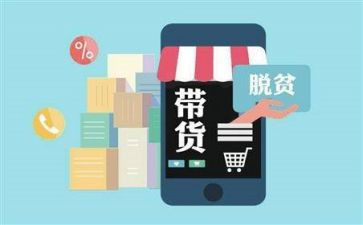带货直播工作总结6篇