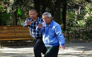 导师带徒导师工作总结8篇