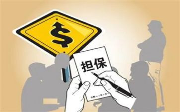 担保公司年度工作总结模板5篇