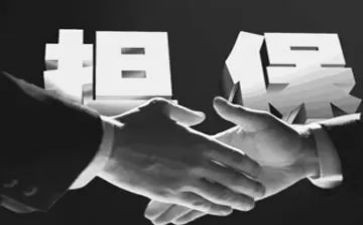 个人担保借款合同7篇