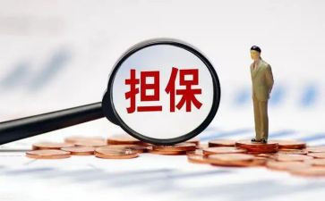 担保公司工作计划5篇