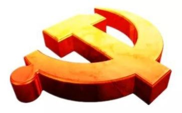 2023年党总支半年工作总结6篇