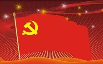 2023年党支工作总结7篇
