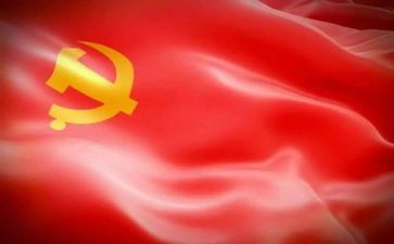 系党委工作总结精选8篇