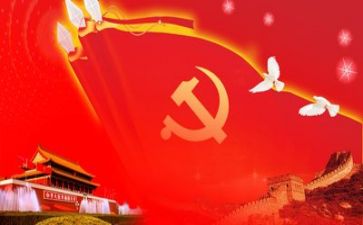 党活动的总结报告优质8篇