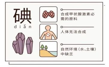 2024年碘缺乏病日宣传活动总结6篇