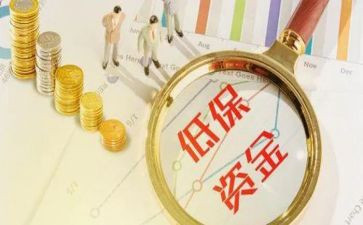 低保工作工作总结参考5篇