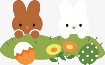 动物教学教案模板7篇