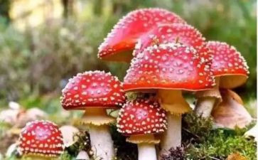 禁毒工作计划范文6篇