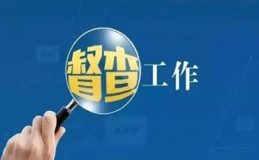 2023督查工作总结6篇