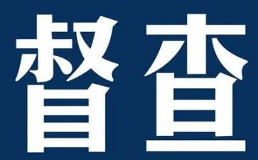 督察月工作总结5篇