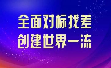 个人对标工作总结最新5篇