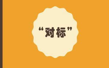 个人对标工作总结优质5篇