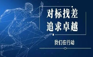 个人对标工作总结优秀5篇