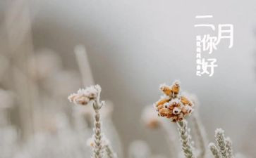 二月的工作计划7篇