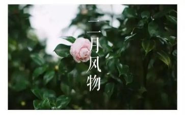 二月工作计划通用5篇