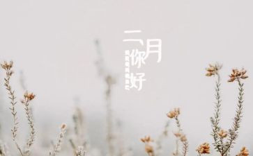 二月工作计划精选5篇