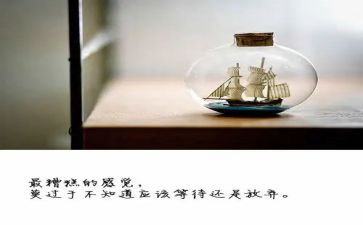 绽放生命的作文优质6篇