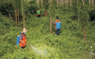 监管场所艾滋病防治工作总结8篇
