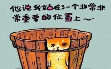 工作总结反思总结7篇