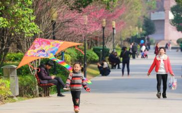 风筝幼儿教案8篇