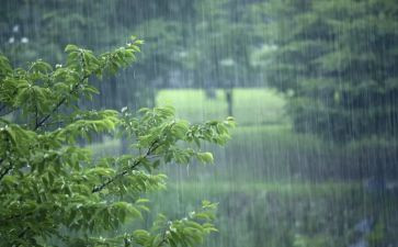 风雨后作文600字7篇